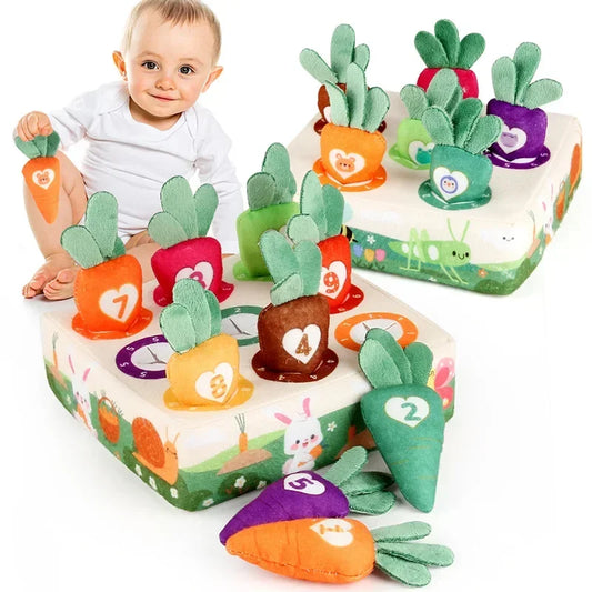 Jeu Montessori Récolte de Carottes